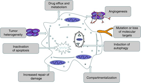 Promising approach against treatment-resistant cancer