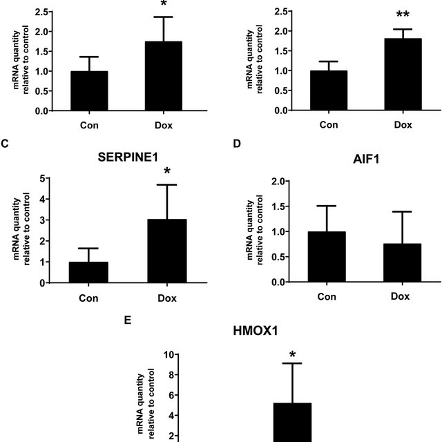 Cardiotoxicity: Will we ever unravel it?