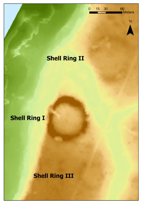 Native American shell ring villages may have been occupied then abandoned because of climate change