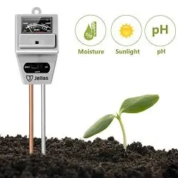 pH sensing: Why plants can’t have it all