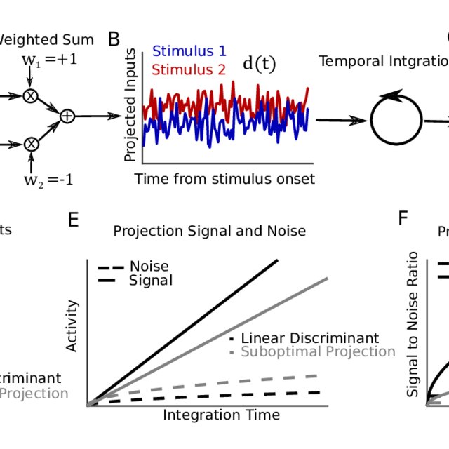 Learning shapes cortical dynamics to enhance integration of relevant sensory input