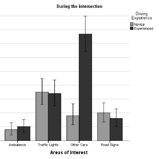 Exploring the sustained and divided attention of novice versus experienced drivers