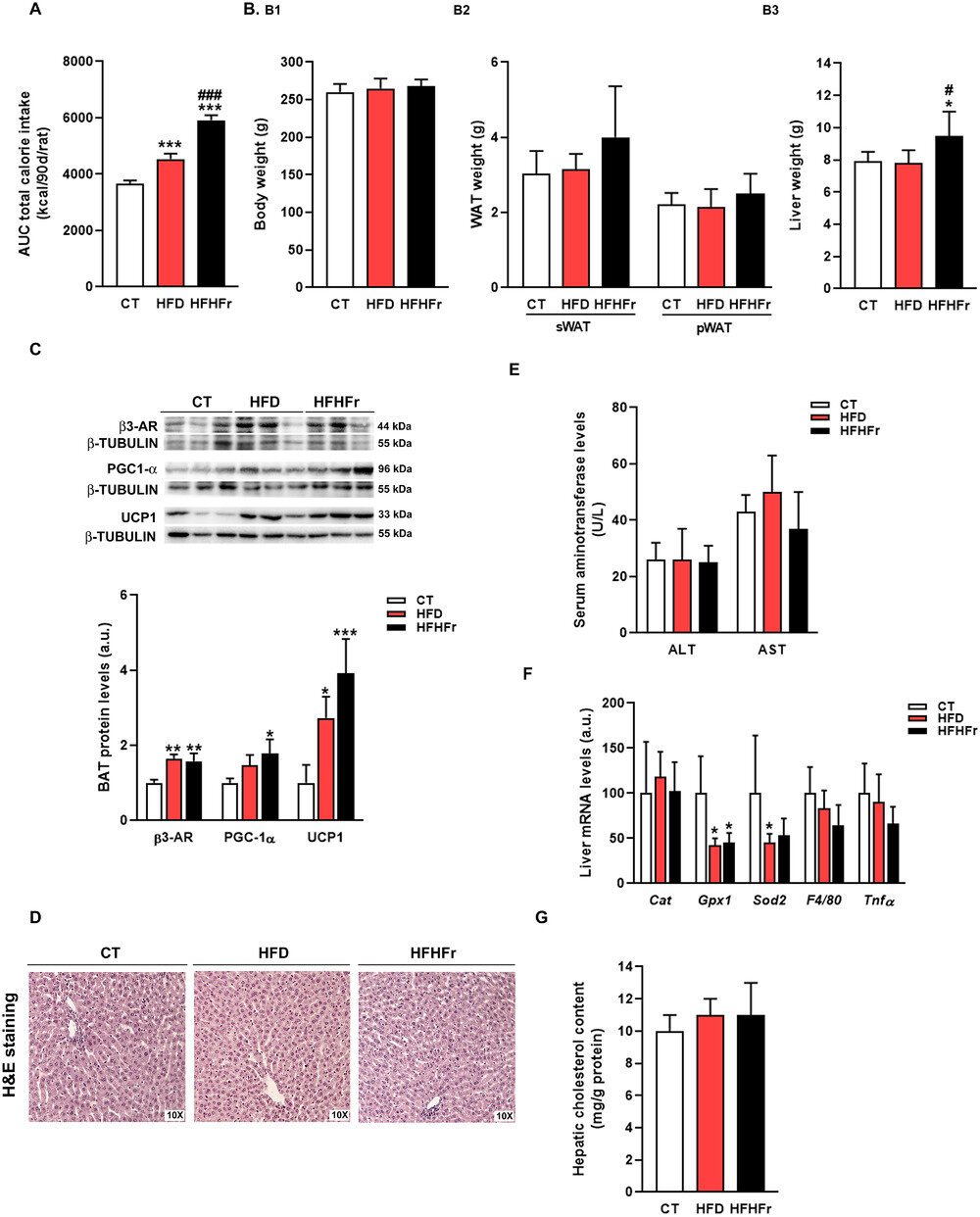 A new study relates liquid fructose intake to fatty liver disease