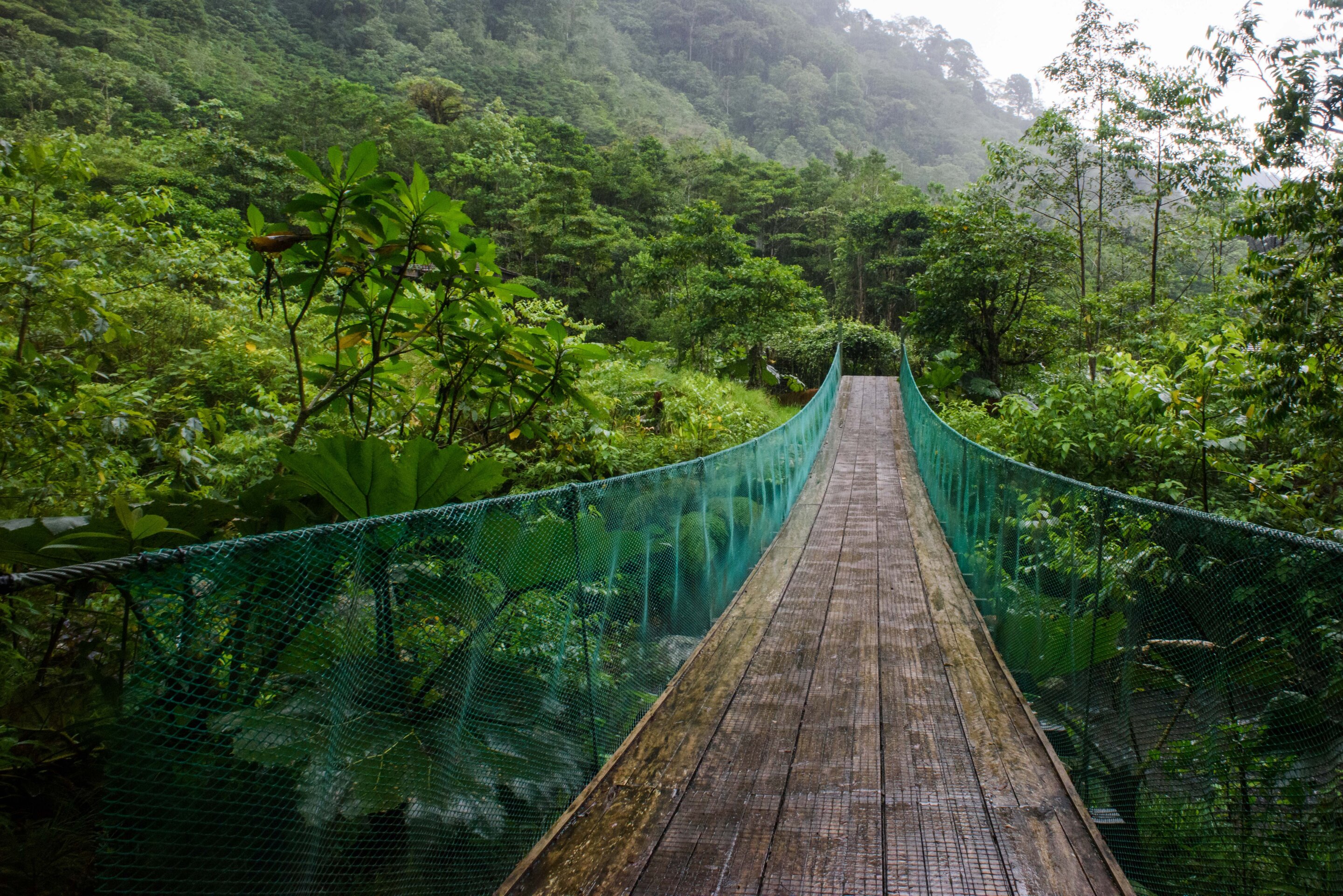 Amazon rainforest is losing resilience: New evidence from satellite data analysis