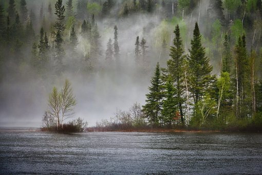 Plants use their epigenetic memories to adapt to climate change