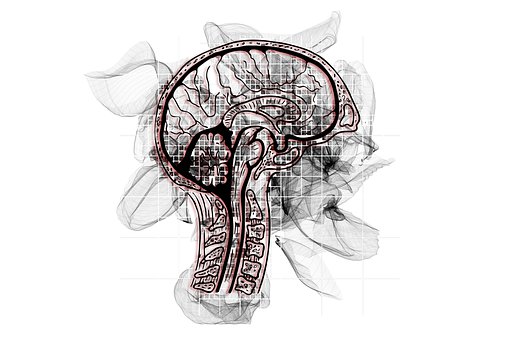 Critical information about the size and growth speed of gliomas