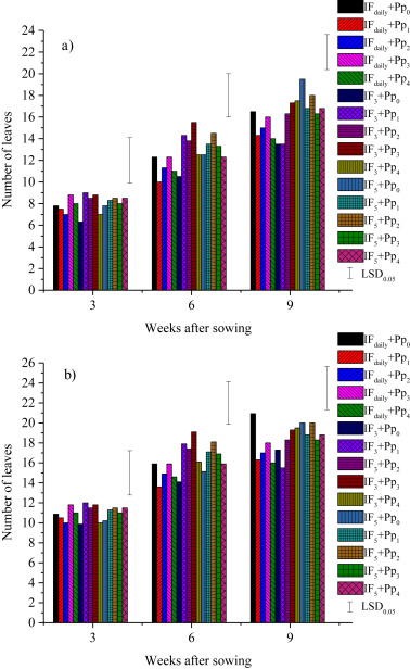 Response of irrigated tomato (Solanum lycopersicum Mill) to mulch application rates