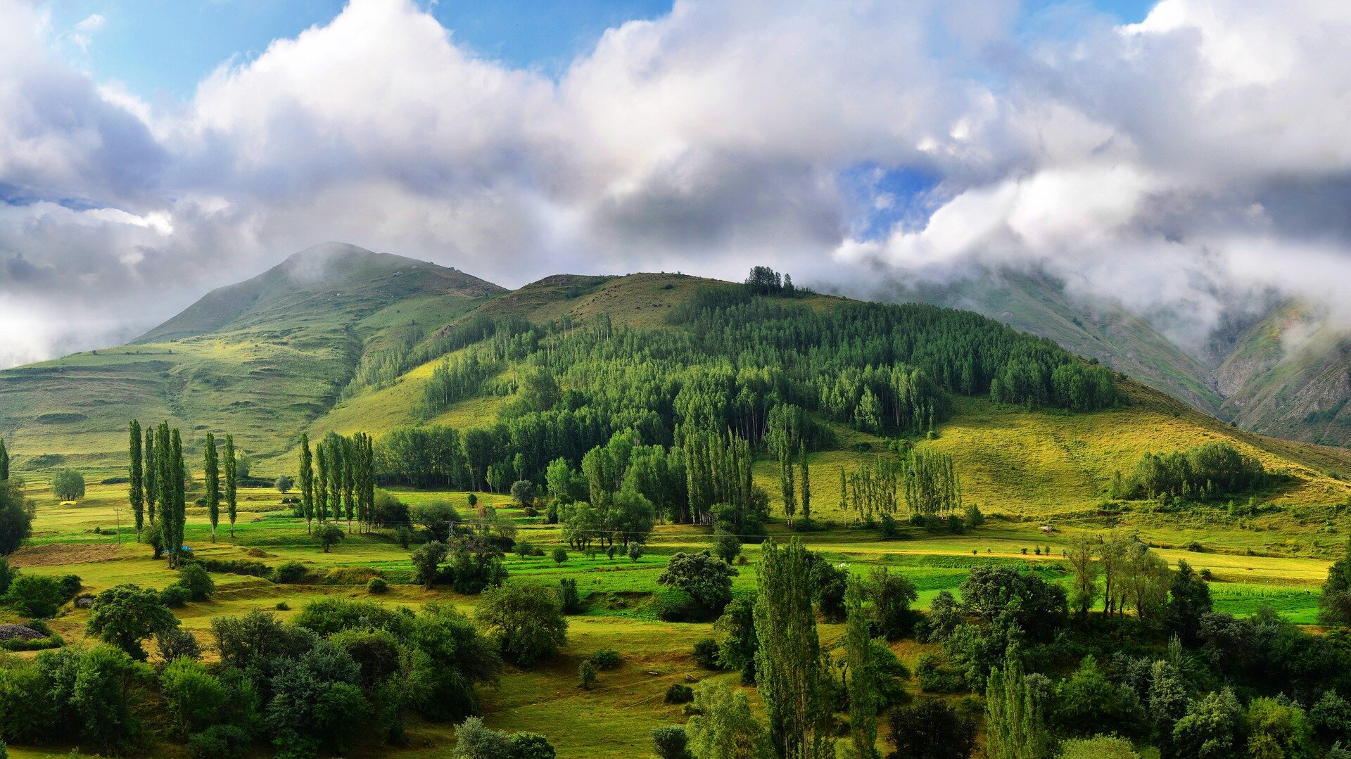 Exposure to great outdoors boosted mental health during pandemic