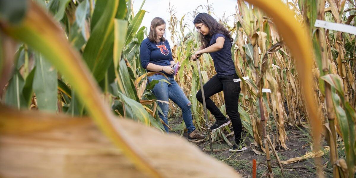 Hyperspectral sensing and AI pave new path for monitoring soil carbon