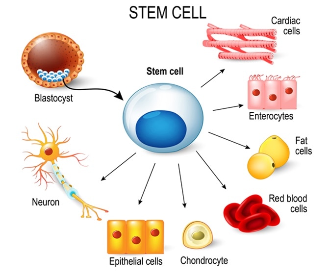 Advancing our view at the subcellular level