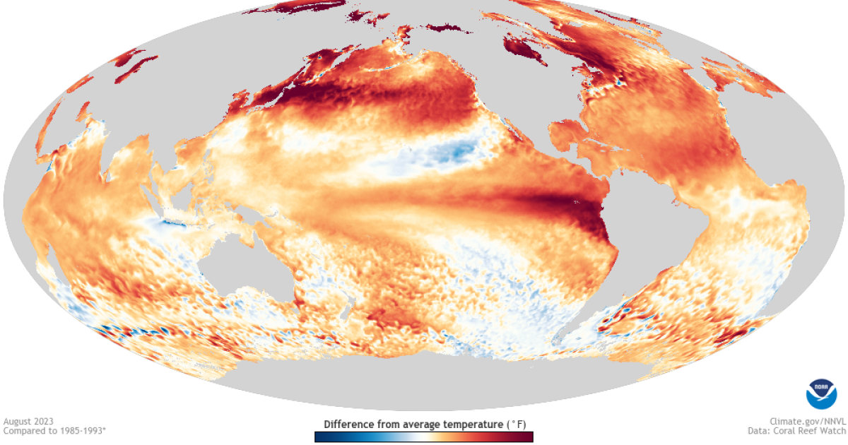 Ancient El Niño Events Were Stronger and More Frequent, Study Finds