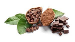 Cocoa does not appear to reduce exercise-related digestive distress