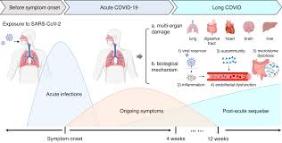 Link Between Long COVID and Cardiovascular Symptoms Revealed by University of Queensland Research