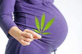 Study Reveals Concerns Over Marijuana Use Among Pregnant Women