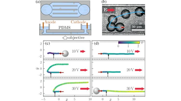 Electric Fields Enable Precise Control of Artificial Microswimmer Motion in Microchannels