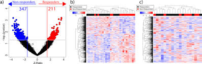 New Computational Model Predicts Immunotherapy Response in Patients with Metastatic Triple-Negative Breast Cancer