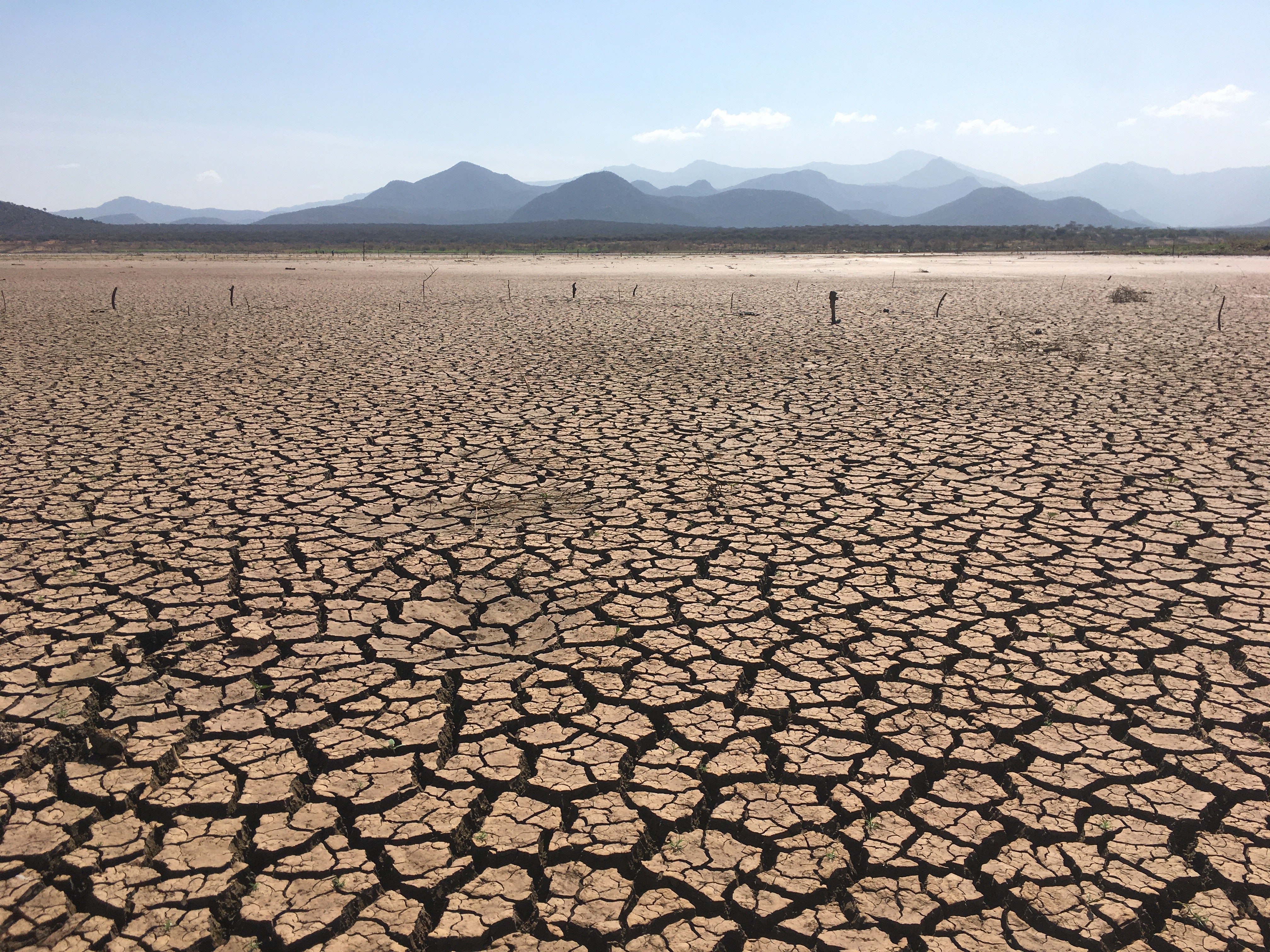 A resilient strategy called Pfumvudza shows its effectiveness against drought impacts in rural communities in Zimbabwe