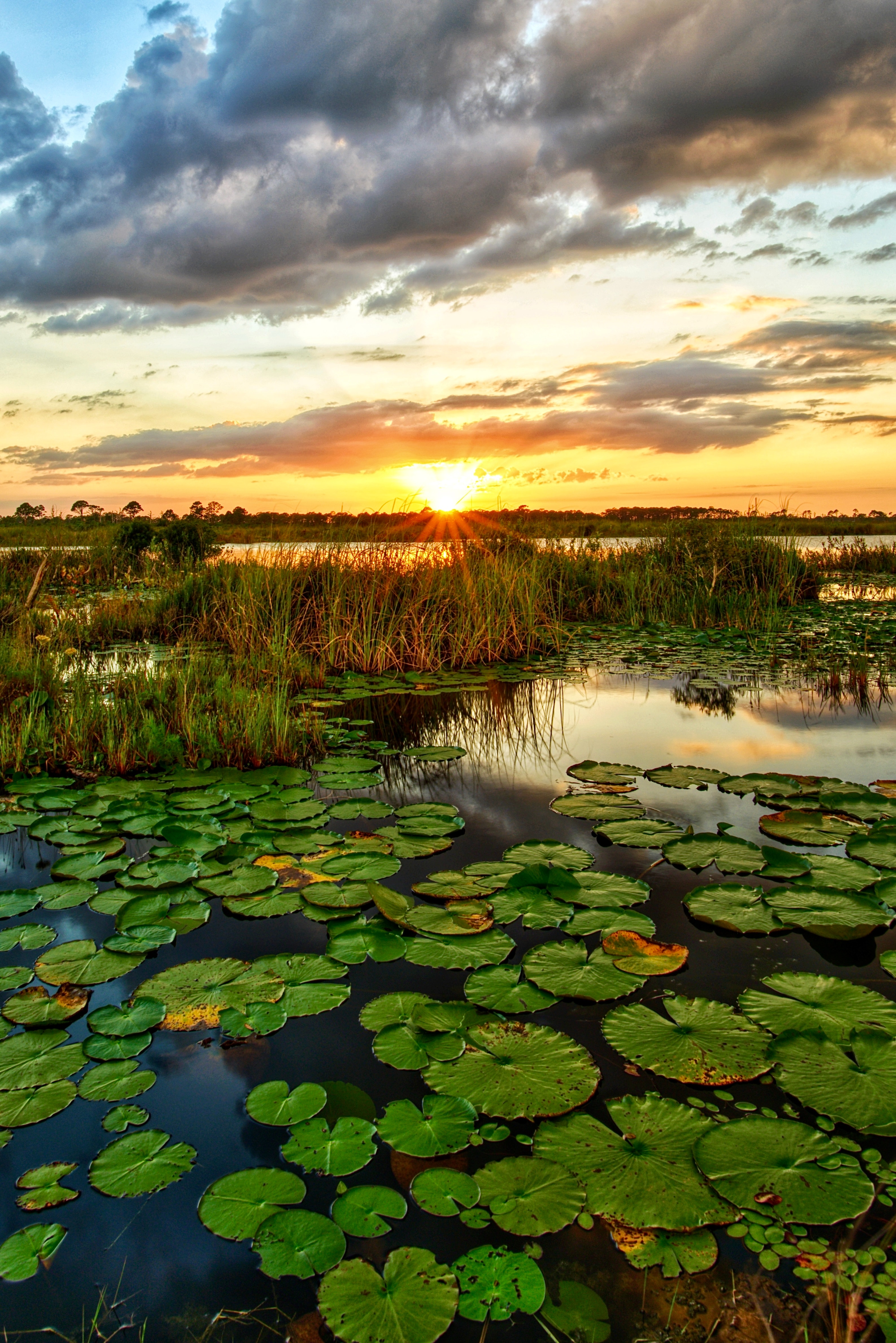 Teal and blue wetlands are not an ideal process in claiming climate benefits due to nitrous oxide and methane