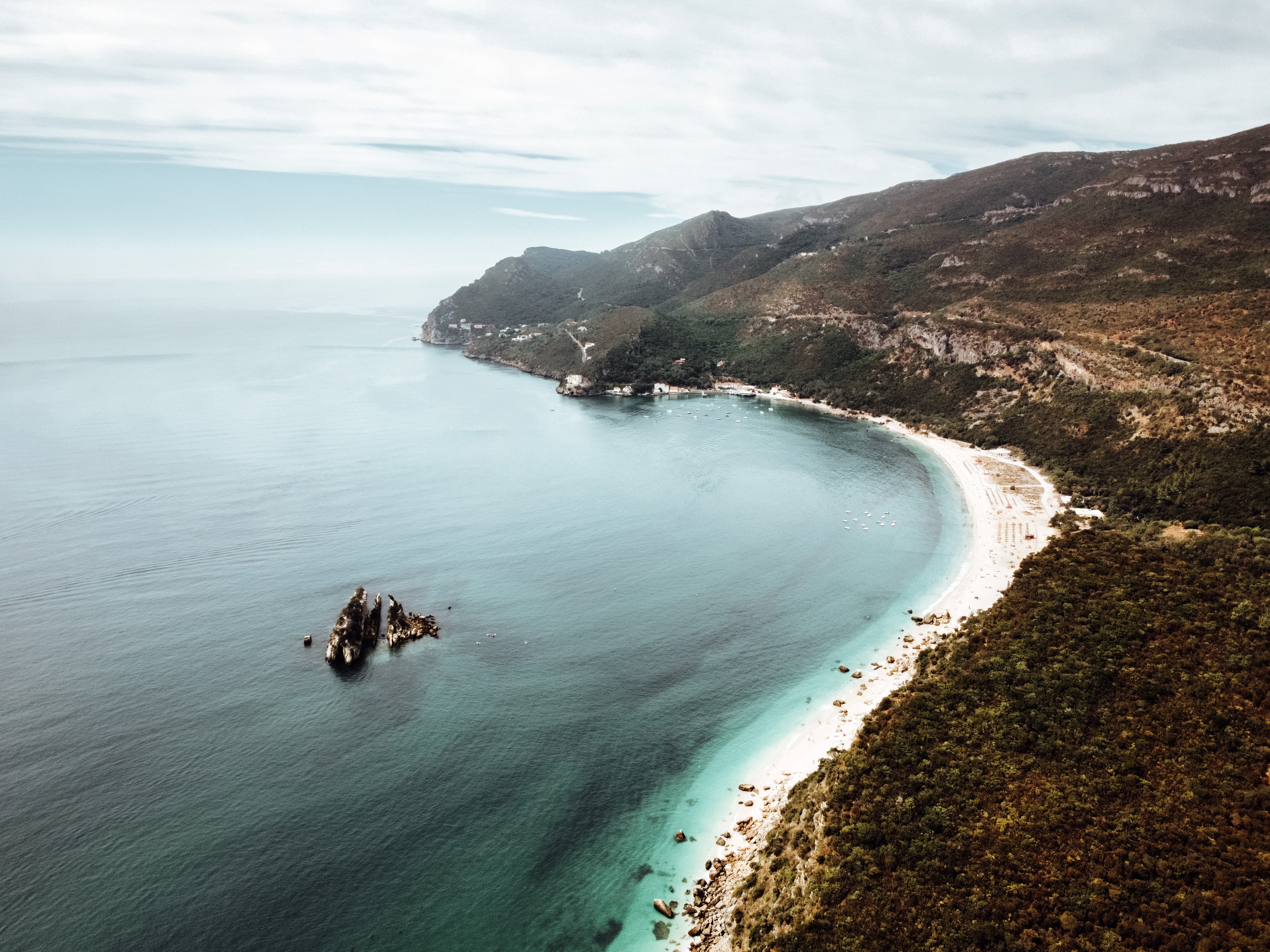 Have you heard of a created living shoreline that is able to combat climate change?