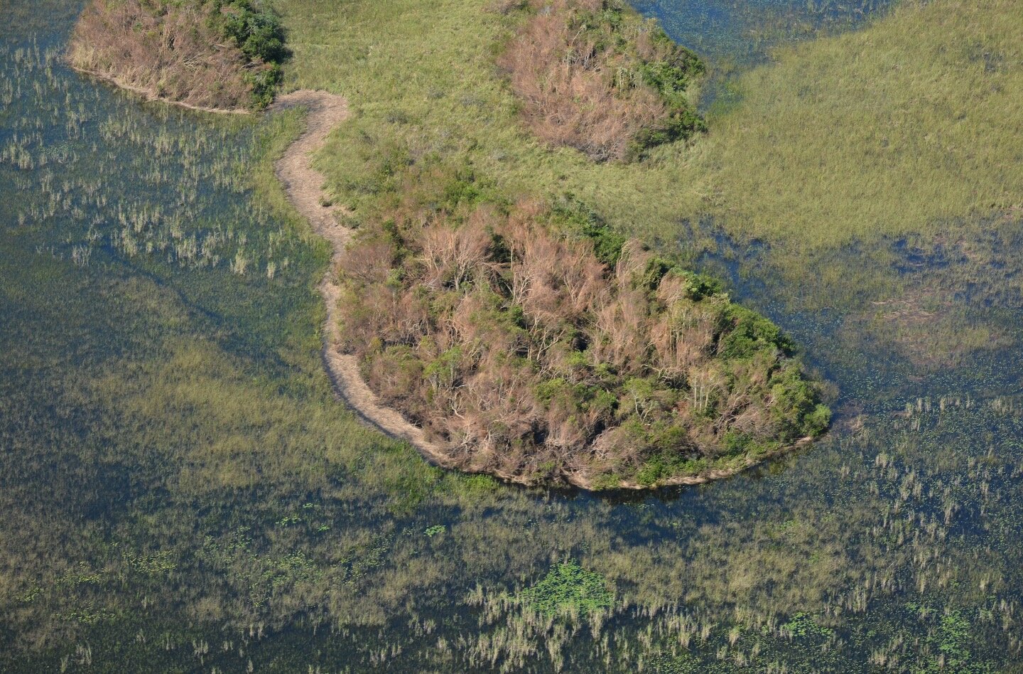 Study reveals trade-offs between ecosystem resistance and resilience to tropical cyclones