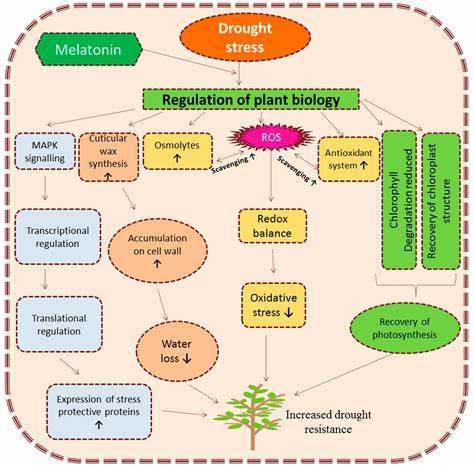 Oxidative stress is inhibited by plant-based supplements: a quantitative lipidomic analysis of antioxidant activity and lipid compositional change