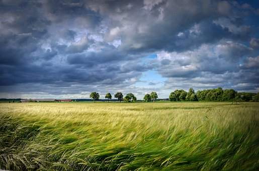 Which weather characteristics affect agricultural and food trade the most?